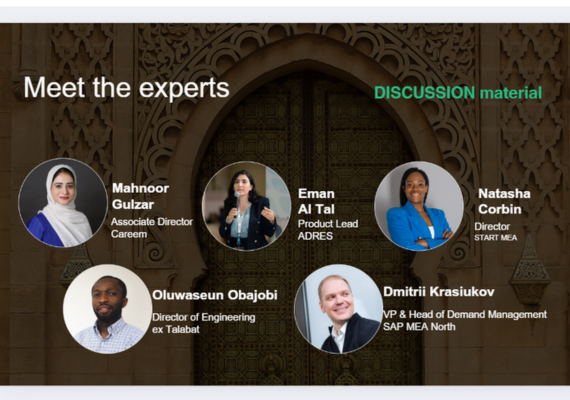 IT Talent in MENA: Landscape Overview